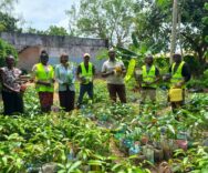 Partnering with women and youths to restore Kenya’s forest cover